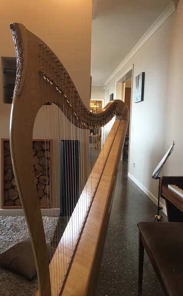 Can you, or did you once, play a musical instrument  ?