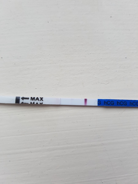 Early bfp