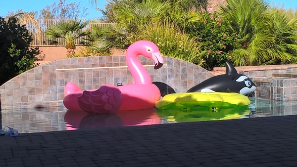 AIBU to ask for pool toy recommendations