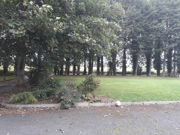 What would you plant in this area....