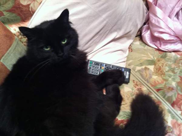 My beautiful Gruber died yesterday