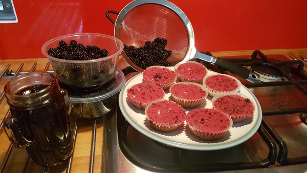 To still go blackberrying?!