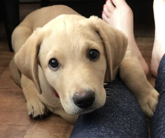 GCSEs 2018 (17) What will be in your coffee cup on Thursday?