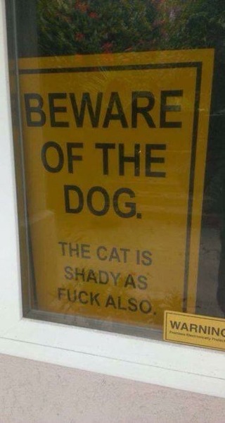 To think the sign in NDNs window is naff and unnecessary?
