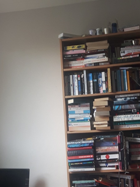 Can anyone recommend a very pale grey paint?