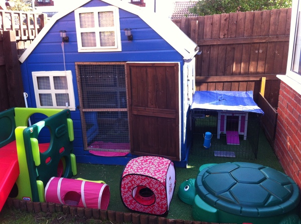 Show me your bunny set ups!