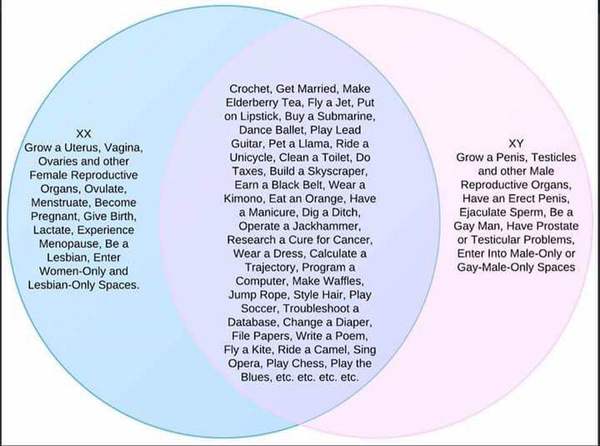 Share your favourite Gender Critical memes here!