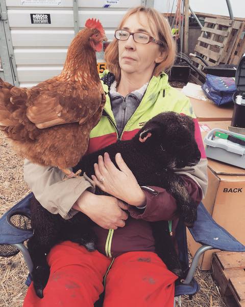 Just about to buy a field - what do we do with it?