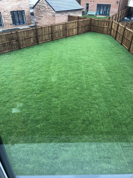 Tell me what to do with my garden