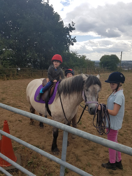 I went to view a horse today, can I have some advice please