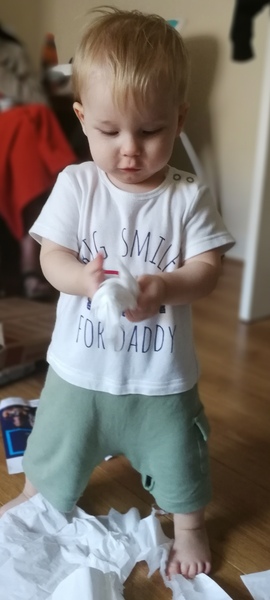 To clap my hands and skip about in a elephantine manner?