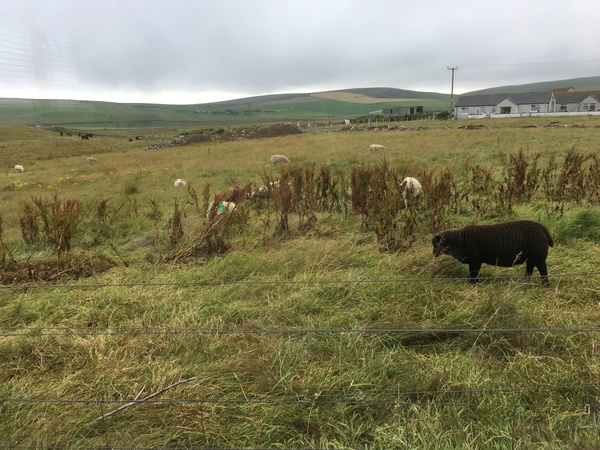 The Friendly Frugaleers: Saving and chatting as the heatwave rolls on.