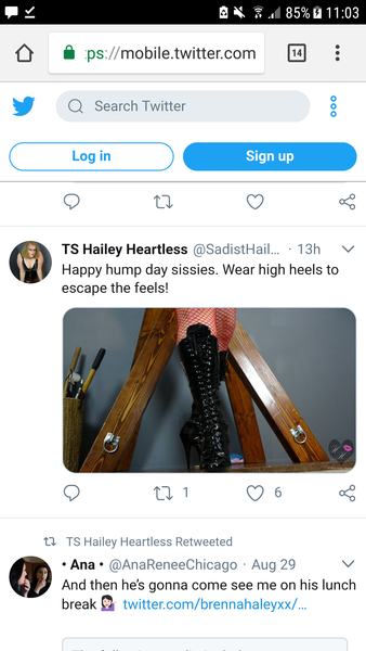 TERFblocker inciting TAs to 'go after the advertisers'