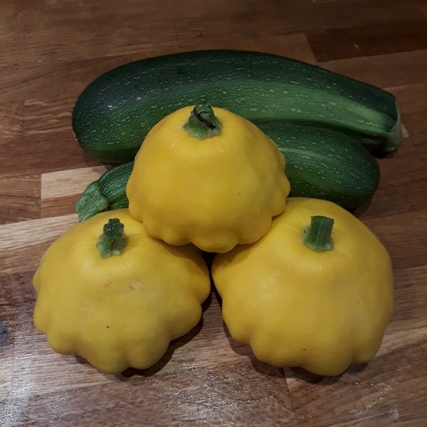 Allotment/Veg Patch Thread 12! Plotmenters hoping for better weather