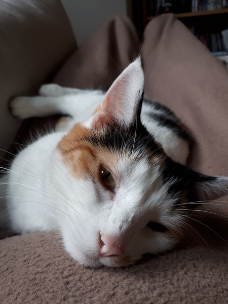 December 2018 Babies - Thread #4