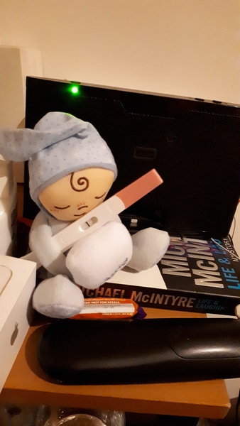 May 2019 (or late April 2019) due date