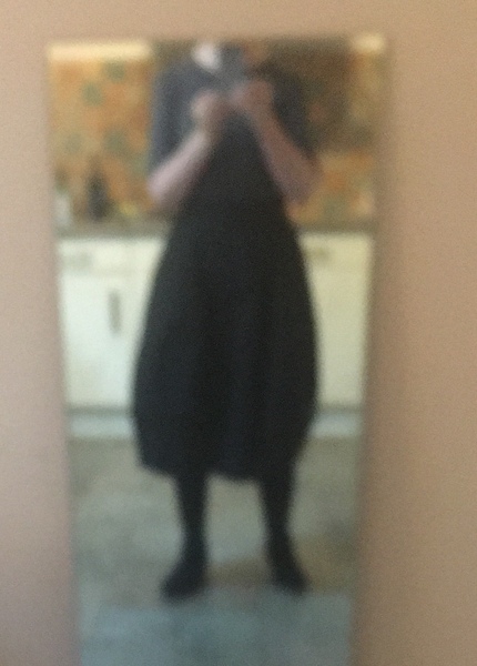 Les Parisiennes de Mamansnet: Orangutans in Paris make for poor gondoliers