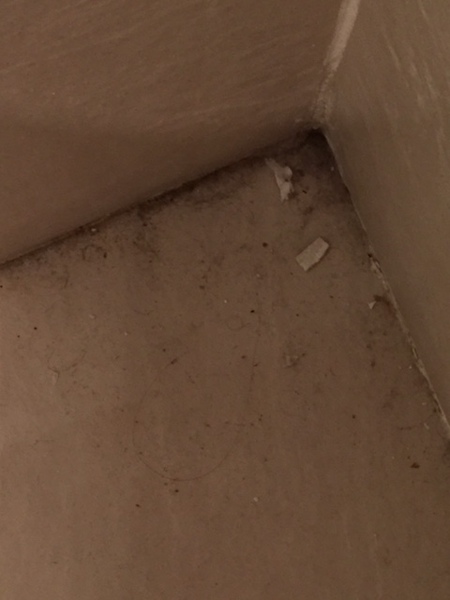 Dirty holiday cottage - what would you do?