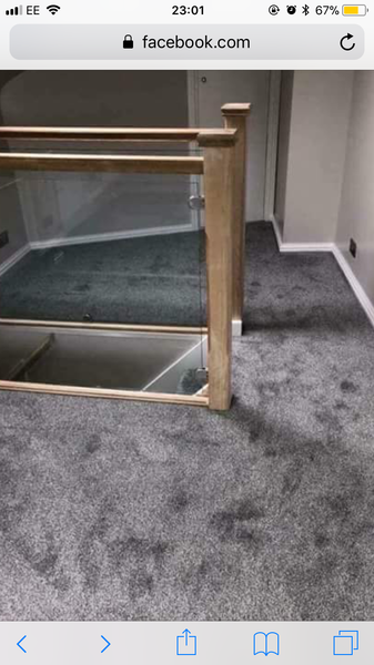 What colour paint with this bedroom carpet
