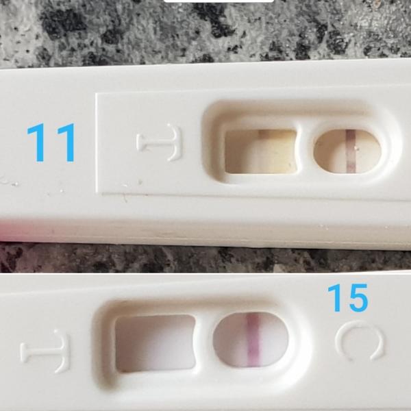 Cheap home OPK sticks
