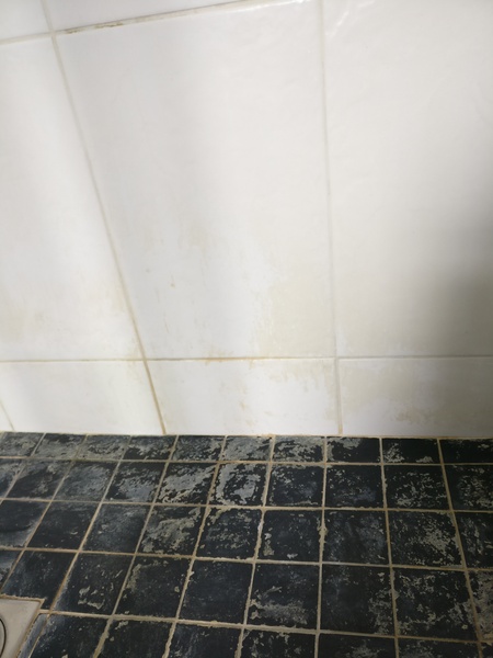 Ugh - my shower looks terrible, previous tenants seem to have never cleaned it