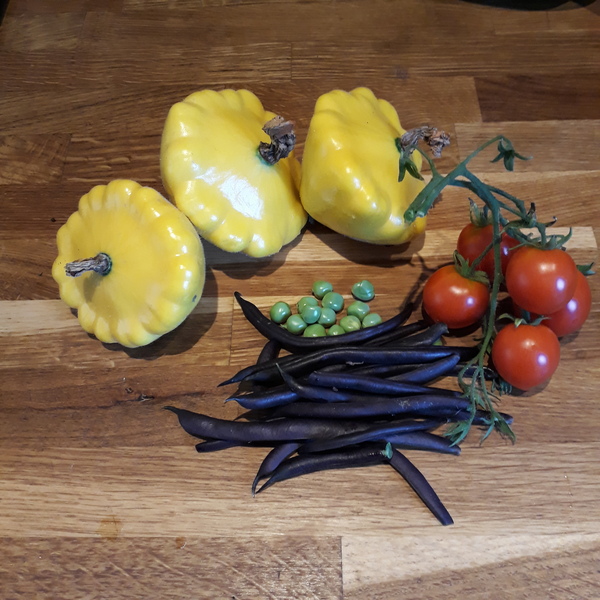 Allotment/Veg Patch Thread 12! Plotmenters hoping for better weather