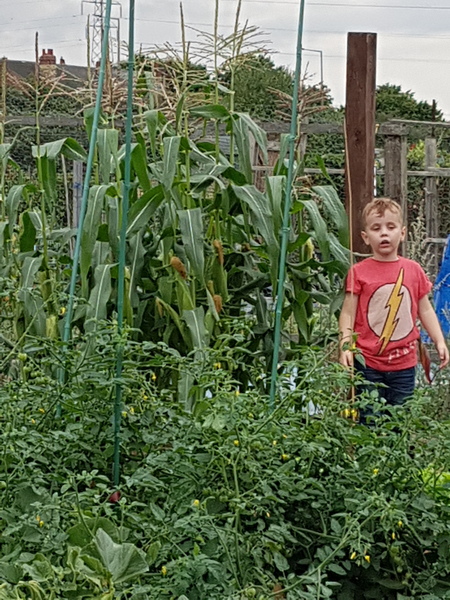 Allotment?Veg Patch Thread 13! Are we weathering the weather?