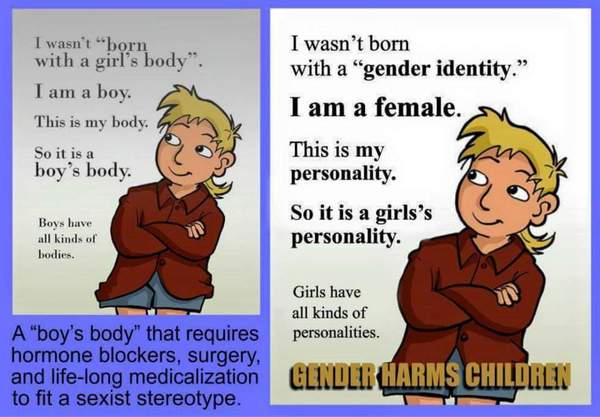 Share your favourite Gender Critical memes here!