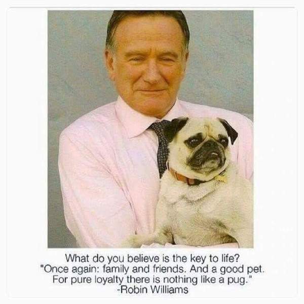To think Mumsnet don’t approve of any dog?