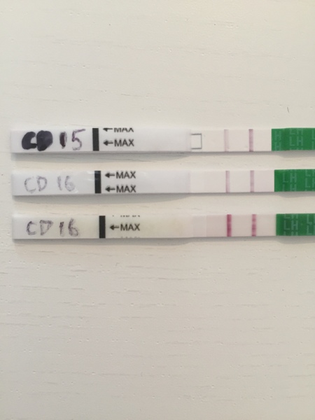 OPK question - with pics!