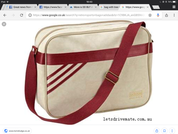 More is DD BU? A flipping tote bag??? For School???