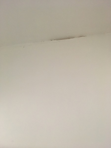 Mystery cupboard *with terrible doodle*
