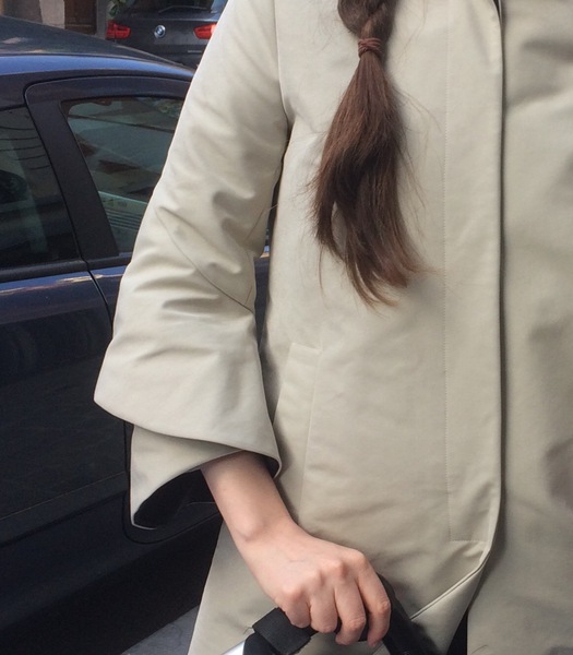 Les Parisiennes de Mamansnet: Orangutans in Paris make for poor gondoliers