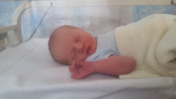 August 2018 #6 - Impending Births and The Final Push!