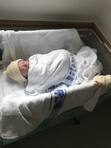 August 2018 #6 - Impending Births and The Final Push!