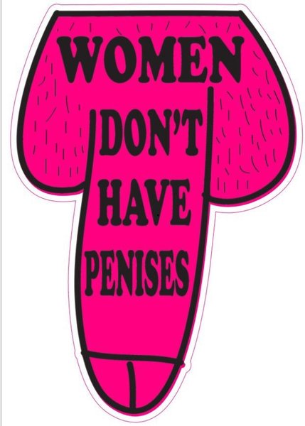 Jonathan Best piece on #StickerWoman