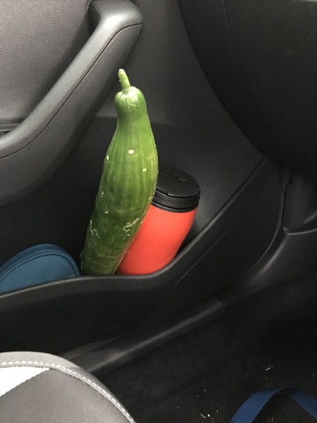 Do I have to declare this large gifted cucumber of thanks?