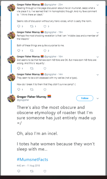 Children's Convenor / Elected Councillor calls women cunts on Twitter rants