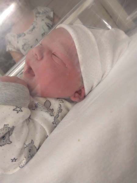 August 2018 #6 - Impending Births and The Final Push!