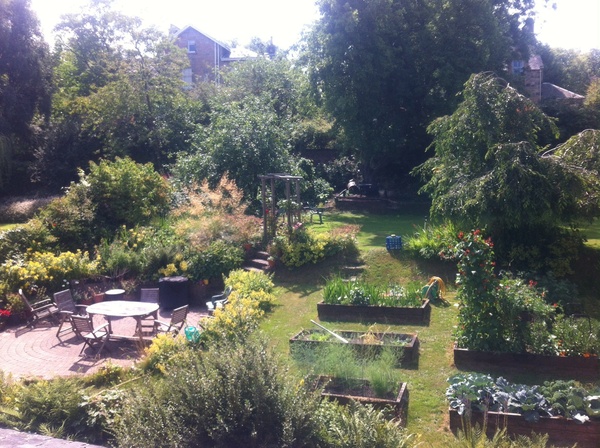 Majority now support remain