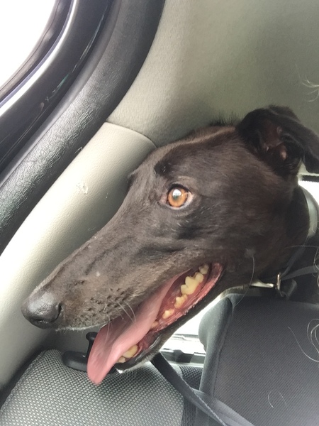 On our way home!