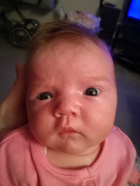 August 2018 babies (including the July early arrivals)