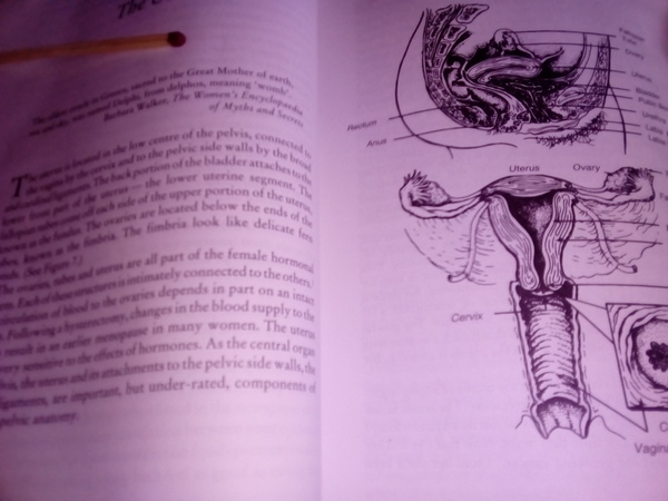 Anti-trans vandals are plastering vile ‘women don’t have penises’ stickers around London