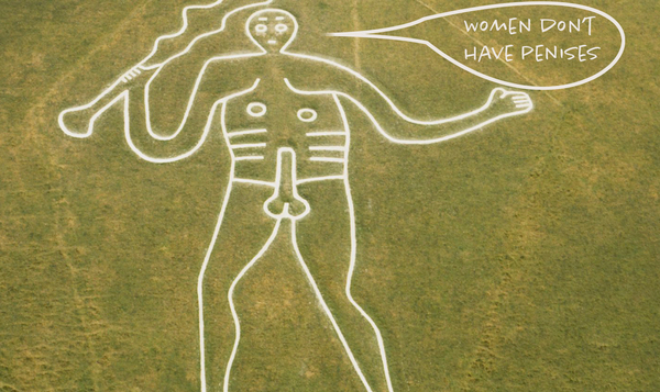 Anti-trans vandals are plastering vile ‘women don’t have penises’ stickers around London