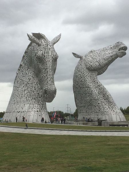 To ask on this dreary bank holiday Monday for your pet photos?