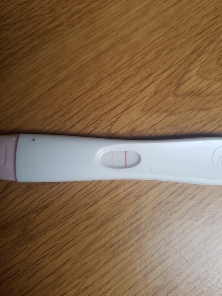 Early bfp