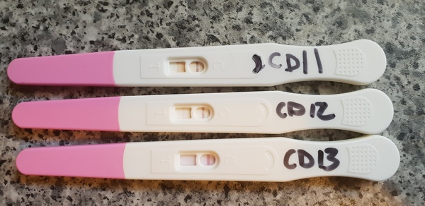 OPK confusion?!?!
