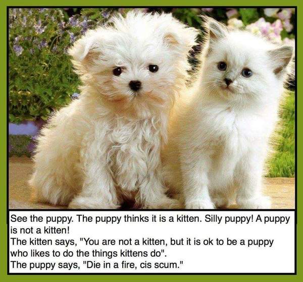 Share your favourite Gender Critical memes here!