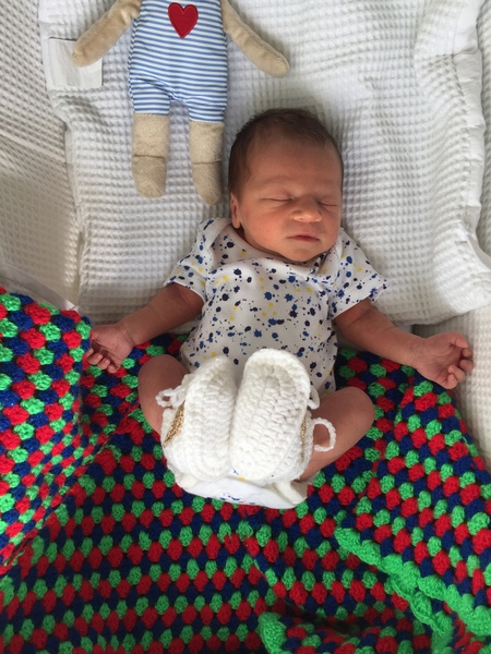 August 2018 #6 - Impending Births and The Final Push!