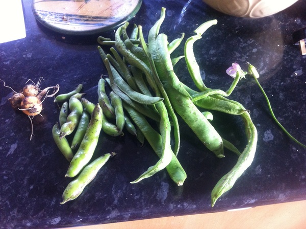 Allotment?Veg Patch Thread 13! Are we weathering the weather?